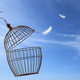 Cage floating in blue sky with feathers escaping from it