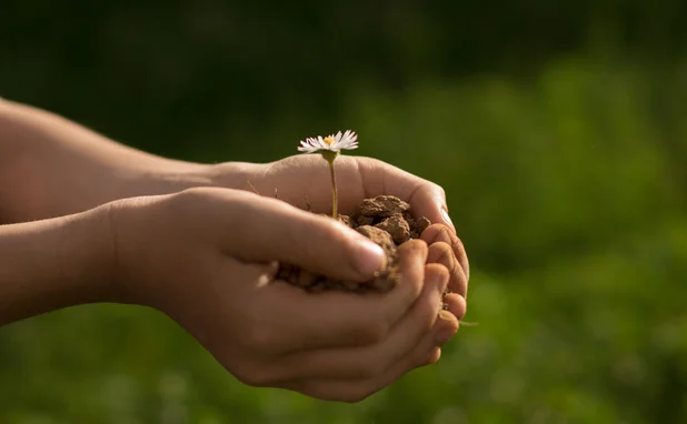 in the hands