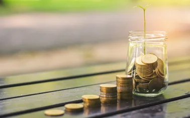 money and plants