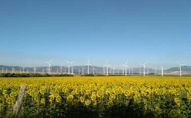 ESG, windmill