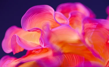 Abstract background of colorful curved wires