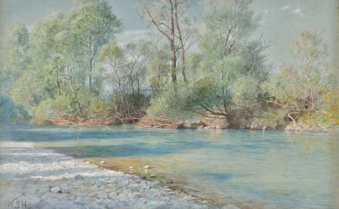 William Stanley Haseltine