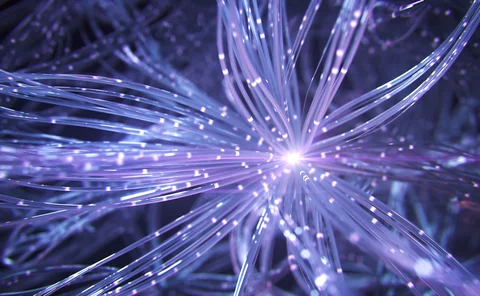 Neural network