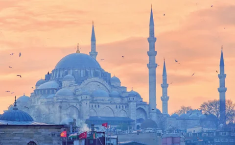 turkey