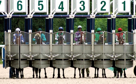 horses-sefs-june2013
