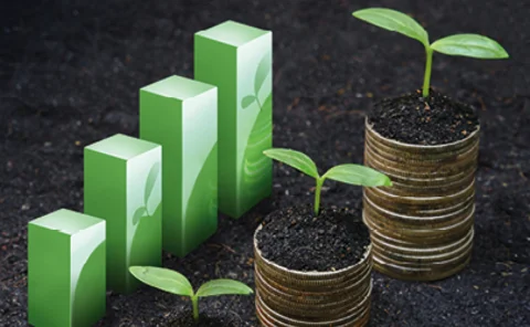 Photo of a bar chart next to three tubs contining green shoots