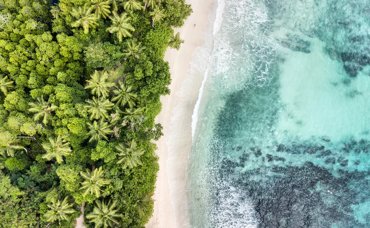 seychelles-ariel-trees-beach-sand-ocean
