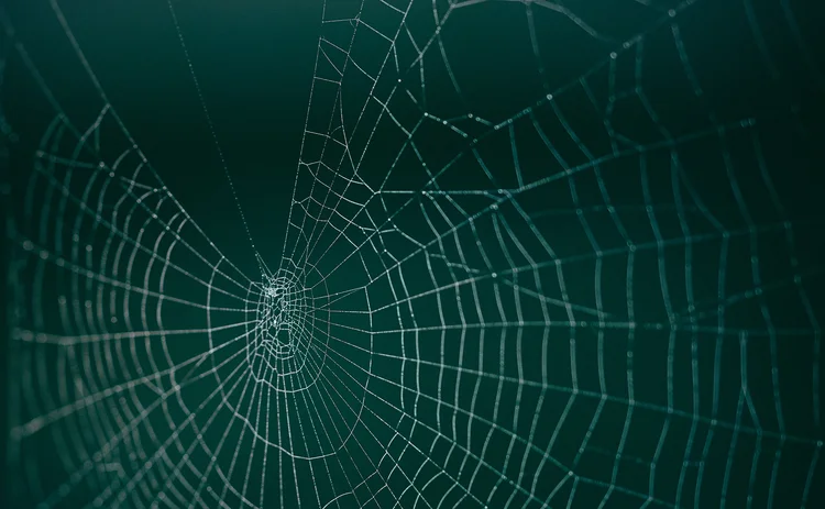 web
