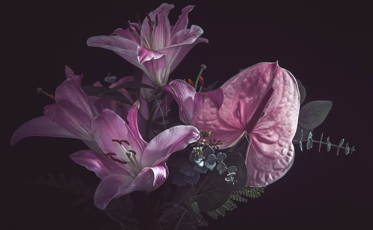 Dark background, moody image of blooming flowers