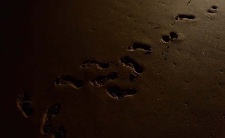 footsteps in the sand on a dark beach
