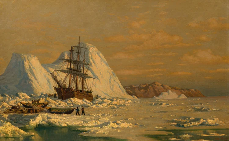 An Incident of Whaling