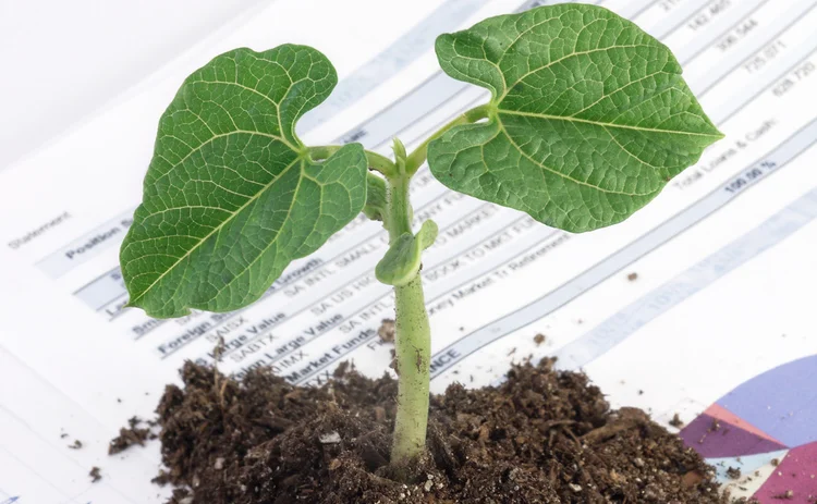 green-investment