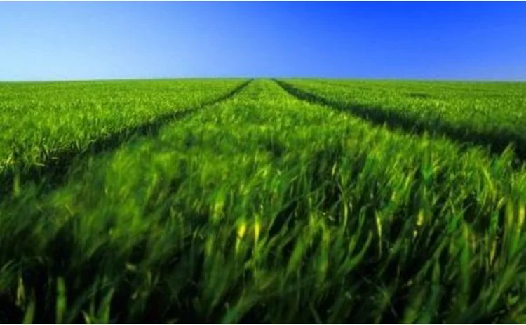 Biotechnology Biotechnology
