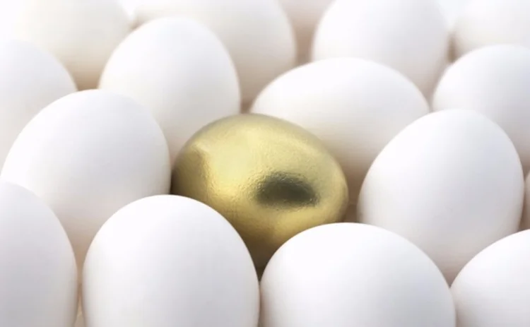 golden-egg-surrounded-by-white-eggs