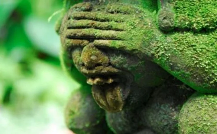 see no evil see no evil