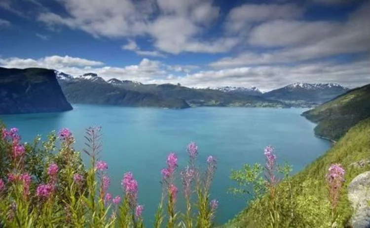 norwegian-fjord