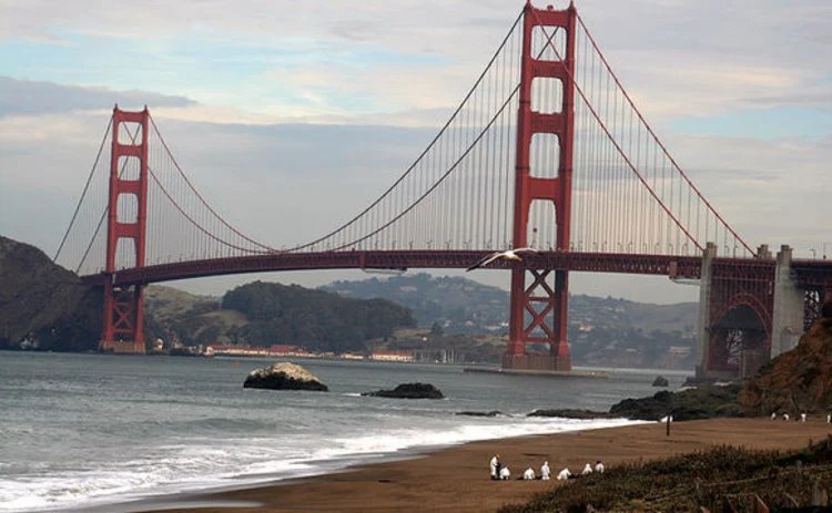 People on a beach cleaning oil spill in San Francisco