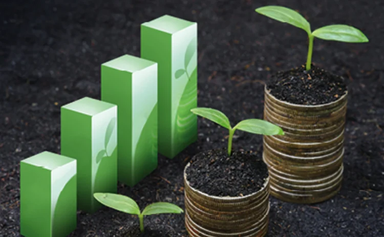 Photo of a bar chart next to three tubs contining green shoots Photo of a bar chart next to three tubs contining green shoots