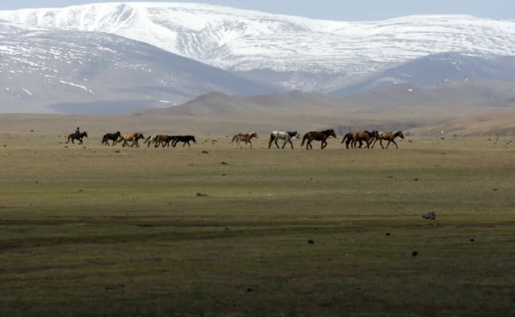 mongolia-11