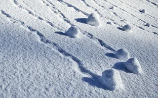 ice