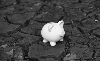 sad pig