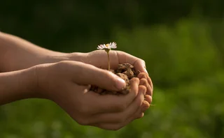 in the hands