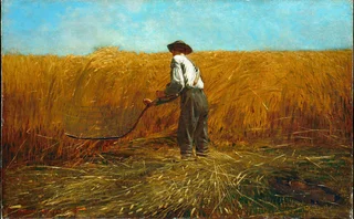 Met Open Access-The Veteran in a New Field