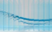 FIS’s BPaaS strategy  Delivering a competitive edge