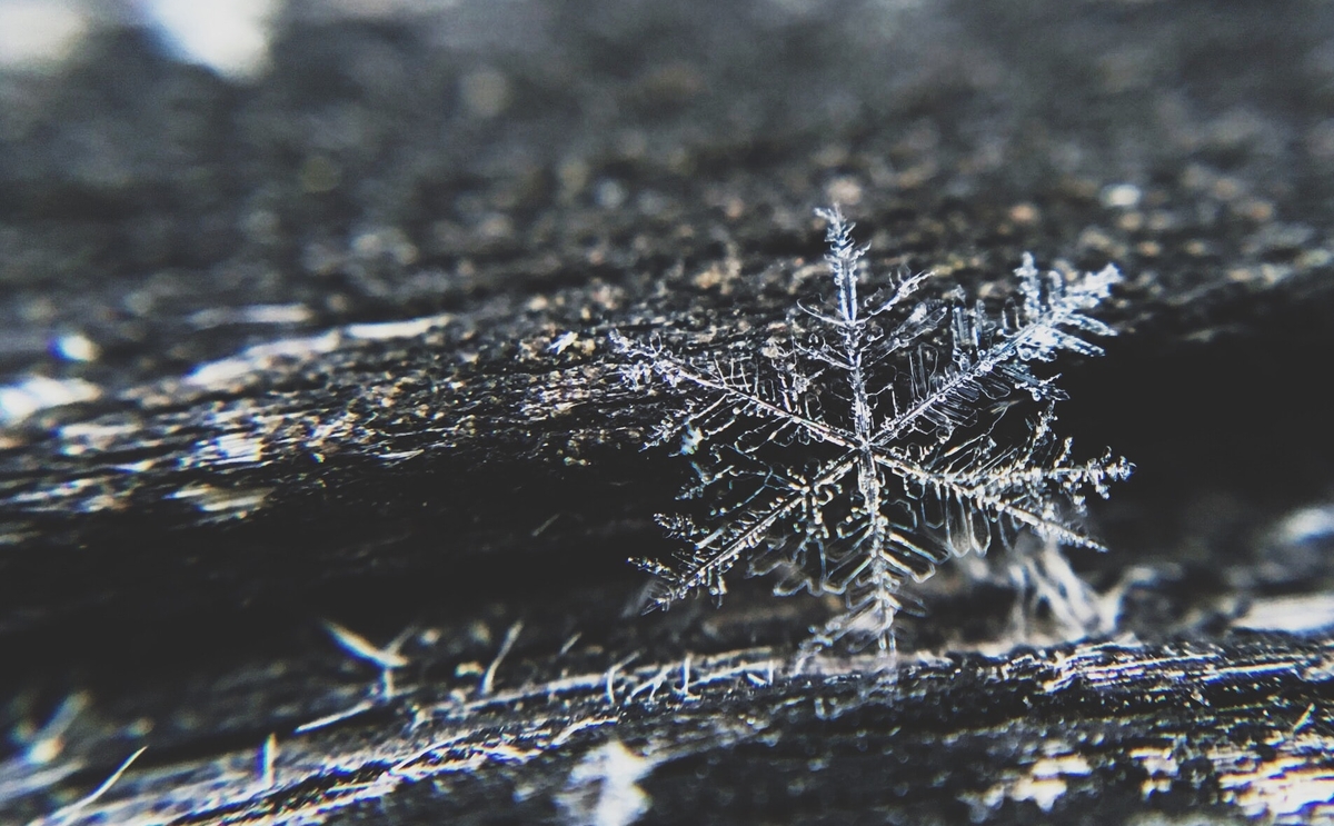 Snowflake Looks to Tackle Data Problems of Asset Managers, Exchanges