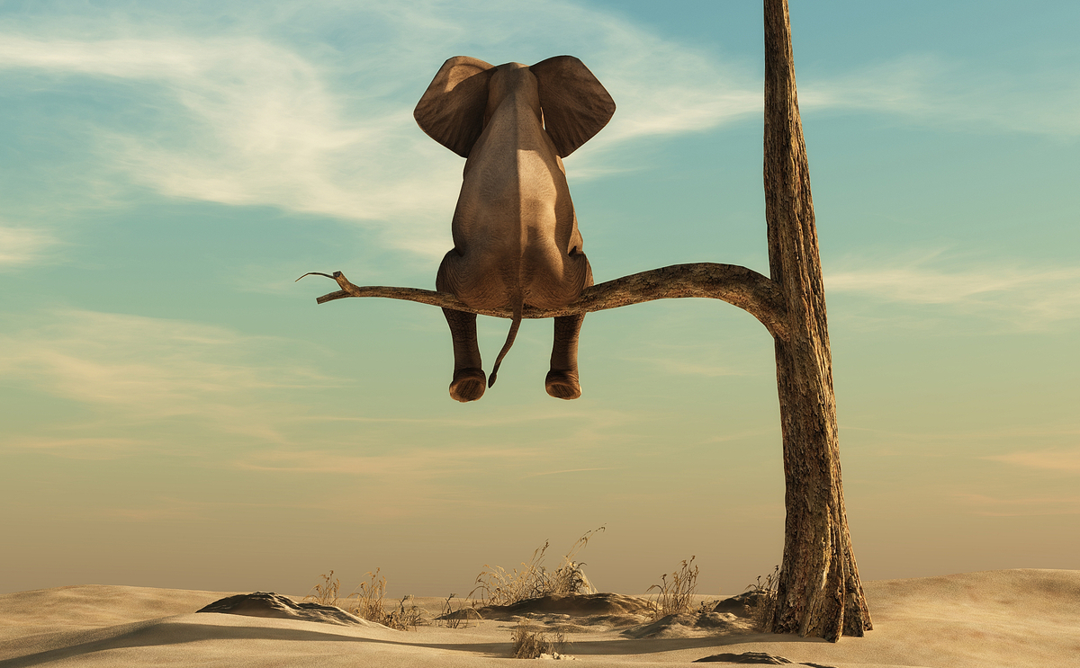 Elephant in the room: Balancing AI innovation with cloud projects - Vimarsana News