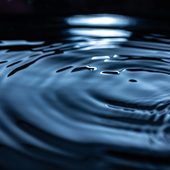 dark pool