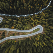 roadmap