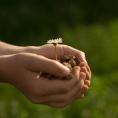 in the hands